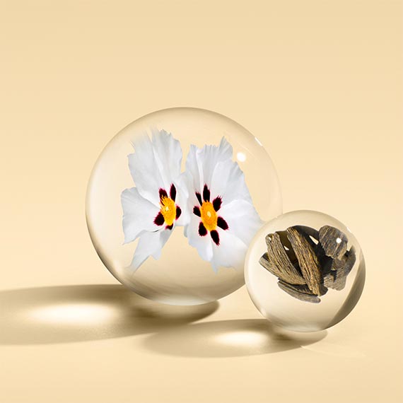 Labdanum Dusk Eau de Parfum 100ml
