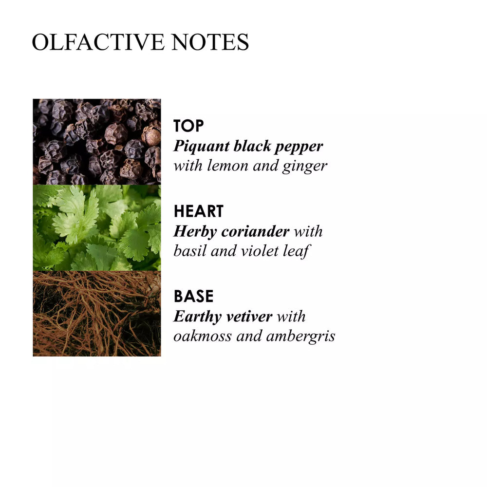 Re-charge Black Pepper Deodorant