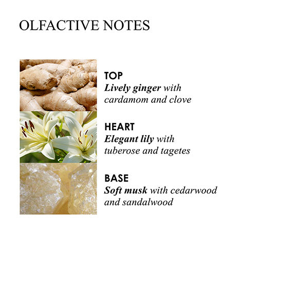 Heavenly Gingerlily Caressing Bathing Oil