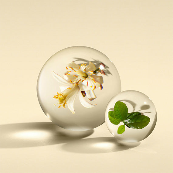 Orange & Bergamot Hand Lotion