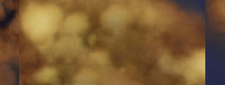 collection-banner